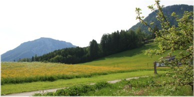 vor Urschlau