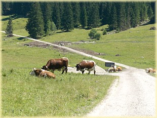 Der Weg ist das Ziel